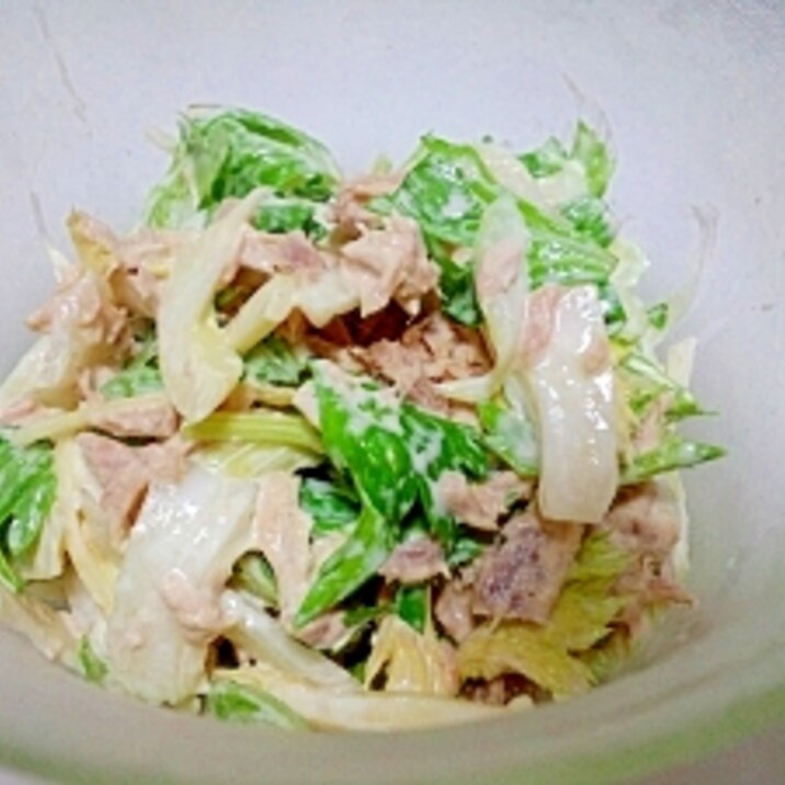 簡単美味しい ツナとセロリのマヨネーズ和え レシピ 作り方 By めろ66 楽天レシピ 簡単美味しい ツナとセロリのマヨネーズ和え レシピ 作り方 By めろ66 楽天レシピ